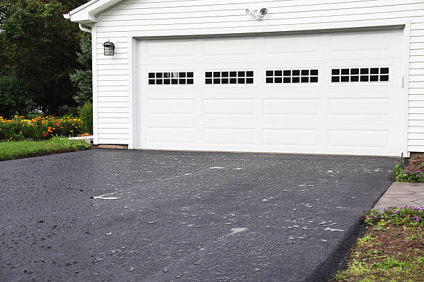 Best Hoarding Cleanup  in North Valley, NM