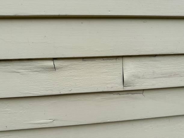 Best Construction Debris Removal  in North Valley, NM